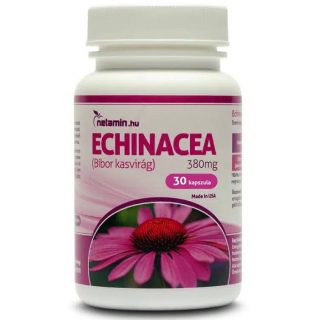 Netamin Echinacea 380 mg kapszula 30db